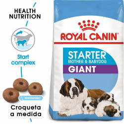 Royal Canin-Giant Starter Mother & Babydog (1)