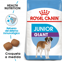 Giant Junior Razas Gigantes (16)