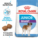 Giant Junior Razas Gigantes (16)