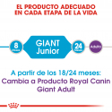 Giant Junior Razas Gigantes (16)