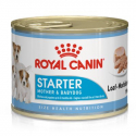 Royal Canin-Starter Mousse Gestación/Lactancia (1)