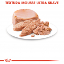Royal Canin-Starter Mousse Gestación/Lactancia (1)