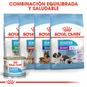 Royal Canin-Starter Mousse Gestación/Lactancia (1)