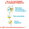 Royal Canin-Carlino Cachorro (1)