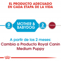 Medium Starter Gestación/Lactancia (1)
