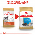 Royal Canin-Schnauzer Miniature Cachorro (1)
