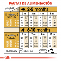 Royal Canin-Schnauzer Miniature Cachorro (1)