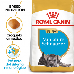 Royal Canin-Schnauzer Miniature Cachorro (1)