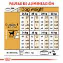 Royal Canin-Labrador Retriever Adulto (1)