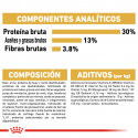 Royal Canin-Labrador Retriever Adulto (1)