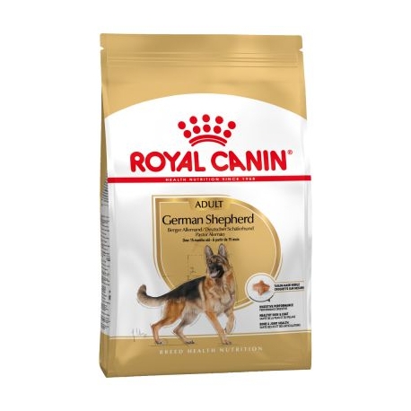 Royal Canin-Pastor Alemán Adulto (1)