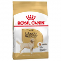 Royal Canin-Labrador Retriever Adulto (1)