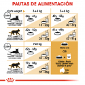 Royal Canin-British Shorthair Adulto (1)