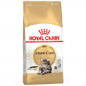 Royal Canin-Maine Coon Adult (1)