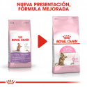 Royal Canin-Kitten Sterilizado (1)