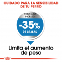 Royal Canin-Maxi Light Razas Grandes (1)