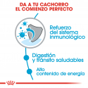 Royal Canin-X-Small Puppy (1)