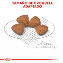 Royal Canin-X-Small Puppy (1)
