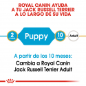 Royal Canin-Jack Russell Cachorro (1)