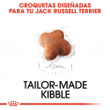 Royal Canin-Jack Russell Cachorro (1)