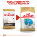 Royal Canin-Jack Russell Cachorro (1)