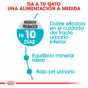 Royal Canin-Urinary Care (1)