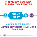 Royal Canin-Giant Puppy (1)