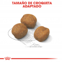 Royal Canin-Giant Puppy (1)