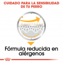 Royal Canin dermacomfort pouch. Comida húmeda para perro
