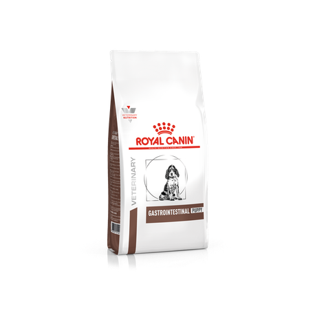 Gastro Intestinal Junior (1)