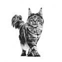 Royal Canin Veterinary Diets-Vet Care Senior Consult Stage 2 (1)