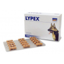 vetplus-Lypex para Perro y Gato (1)