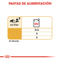 Royal canin comida húmeda para Teckel