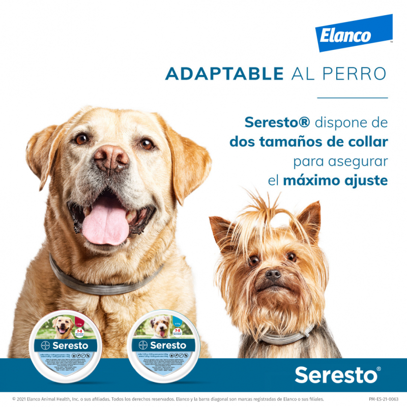 collar bayer perros
