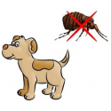 Taber-Champú Antiparasitario para Perro (1)