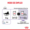 Royal Canin Appetite control care gelatina comida húmeda gato