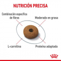 Royal Canin Appetite Control care pienso para gato