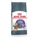 Royal Canin Appetite Control care pienso para gato