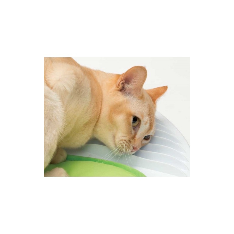 Catit Senses 2.0 Akupressurmatte – Spielplatz & Wellness Für Katzen In Einem