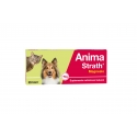 Stangest-Fortificante Natural para Perro y Gato (1)