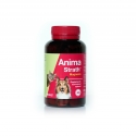 Stangest-Fortificante Natural para Perro y Gato (1)