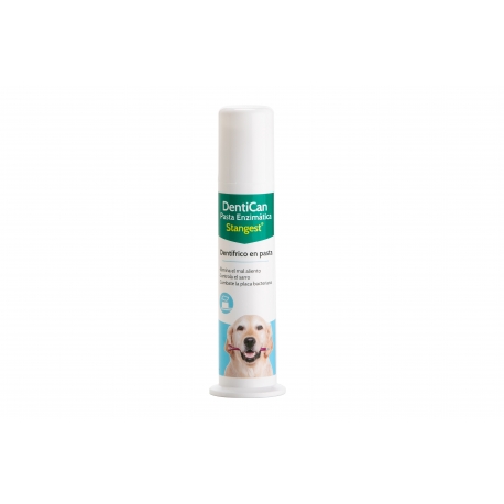 Stangest-Dentican Pasta Dental (1)