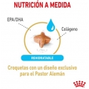 Royal Canin Pastor Aleman Adult 5+ Pienso para perros