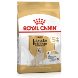 Royal Canin Labrador Retriever Adult +5 Pienso para perros