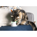 Hub Concentrador Para Vincular Productos Sure Petcare Connect