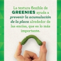 Greenies Snack Dental Large Para Perros Grandes 170 g