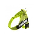 Julius K9 Belt Arnés De Cinta Neón