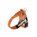 Julius K9 Belt Arnés De Cinta Naranja