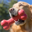 Kong Goodie Bone Hueso De Caucho Para Perro