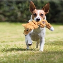 Kong Scrunch Knots Fox Peluche Para Perro
